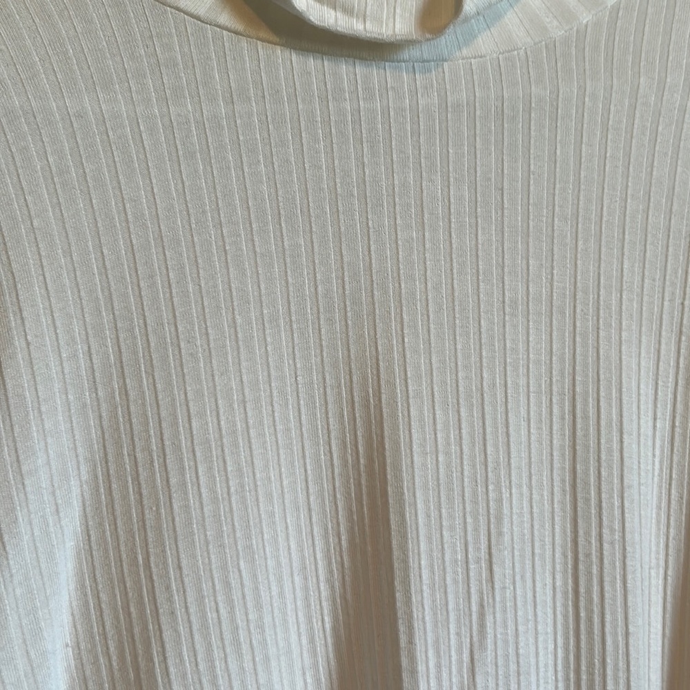 AE Ribbed Mock Neck Top - Picture 2 of 6
